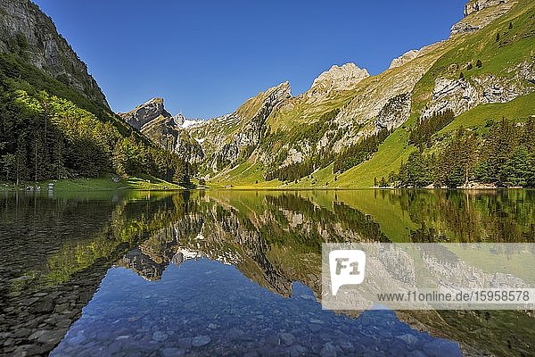 Berge spiegeln sich im Seealpsee  hinten der Säntis  Alpstein  Kanton Appenzell  Schweiz  Europa