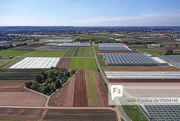 Gewächshäuser und Felder im Gemüseanbaugebiet  Knoblauchsland oder Knoblauchland  Nürnberg  Mittelfranken  Franken  Bayern  Deutschland  Europa