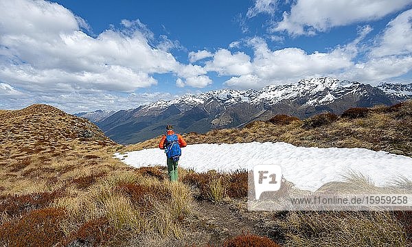 Hiker on the summit of Mount Alfred  view of mountain peaks  Glenorchy near Queenstown  Southern Alps  Otago  South Island  New Zealand  Oceania