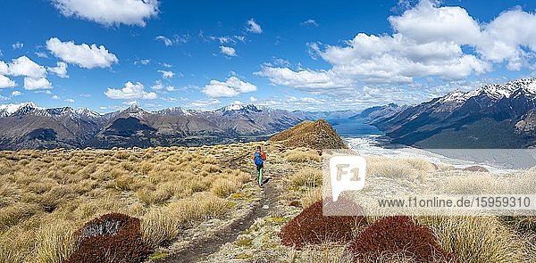 Panoramablick  Wanderer auf dem Berggipfel von Mount Alfred  Ausblick auf Lake Wakatipu und Berglandschaft  Glenorchy bei Queenstown  Südliche Alpen  Otago  Südinsel  Neuseeland  Ozeanien