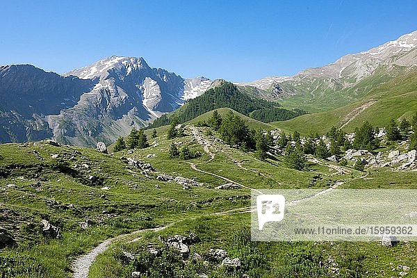 Alpenlandschaft mit Wanderweg am Col de Vars  Provence-Alpes-Cote d?Azur  Hautes-Alpes  Alpes-de-Haute-Provence  Frankreich  Europa