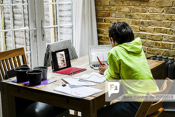 A boy sitting at a desk using a laptop for an interactive learning session  home schooling  working hard.