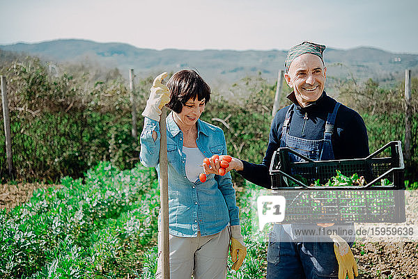 Smiling woman and man standing in vegetable garden  holding plastic create with freshly picked vegetables