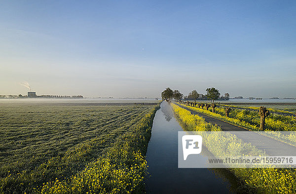 Blick am frühen Morgen auf Felder und Weg entlang des Entwässerungsgrabens im Küstengebiet der Niederlande im Frühling.
