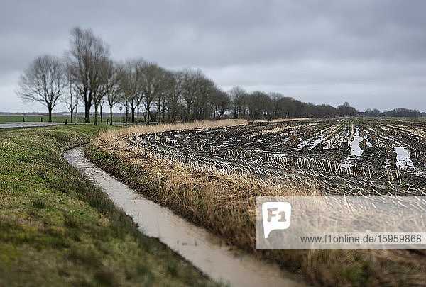 Blick über überflutete Felder in Friesland Niederlande.