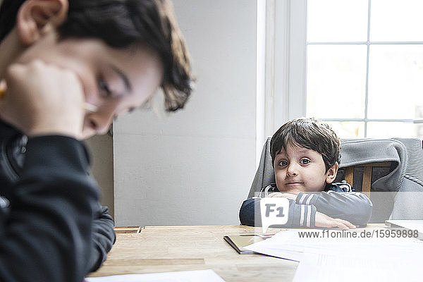 Zwei Jungen mit braunen Haaren sitzen zu Hause am Tisch und machen Hausaufgaben.