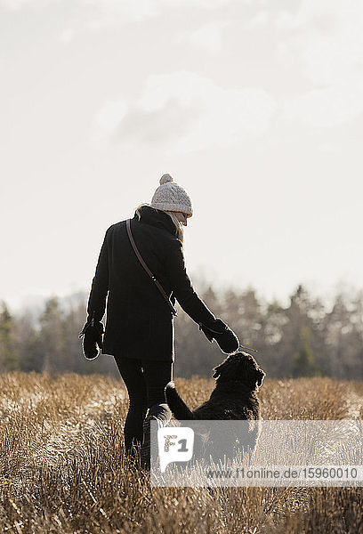 A woman walking with her Bernese mountain dog.