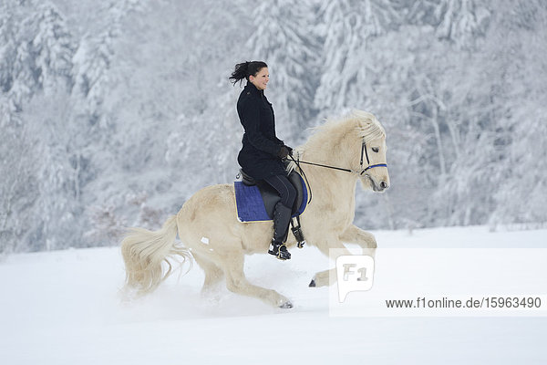 Young woman riding on horse in snow