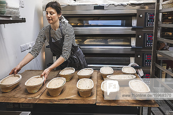 Ein Bäcker  der vor dem Backen Gärkörbe mit aufgegangenem Teig kontrolliert  eine handwerkliche Bäckerei  die Sauerteigbrot herstellt.
