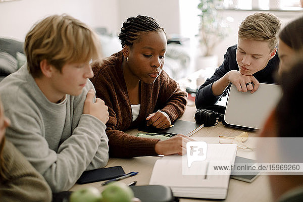 Teenage girls and boys studying together at table in living room