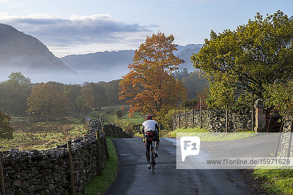 Cyclist riding on lane in autumn  Borrowdale  Lake District National Park  UNESCO World Heritage Site  Cumbria  England  United Kingdom  Europe