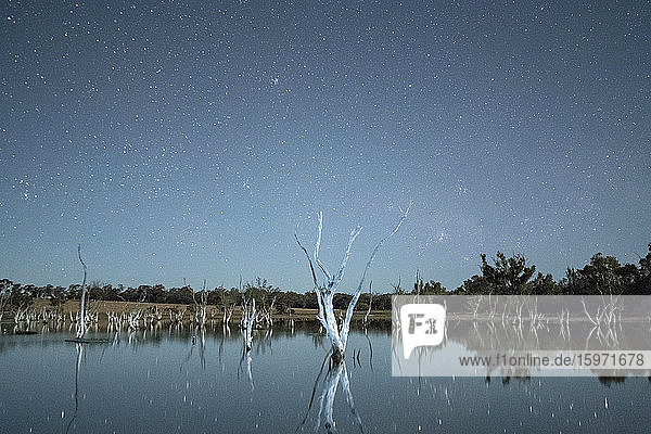 Sumpf unter dem Nachthimmel  Towerrining  Westaustralien  Australien  Pazifik