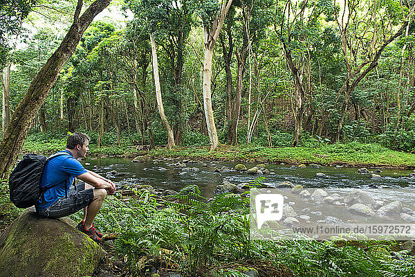 Man resting beside Wailua River  Kauai  Hawaii  United States of America  North America