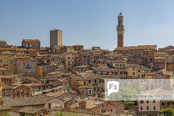 View of city skyline including Campanile of Palazzo Comunale  Siena  Tuscany  Italy  Europe