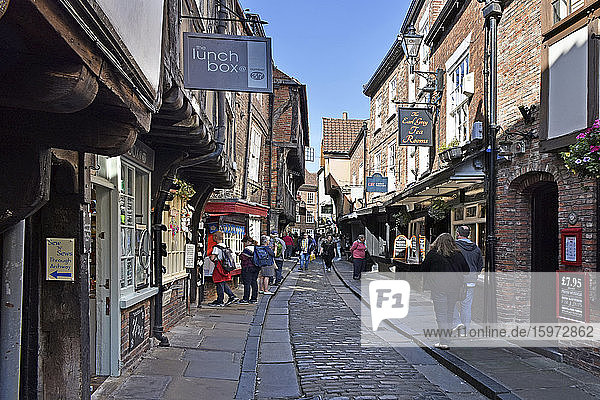 The Shambles  the ancient street of the butchers of York  mentioned in the Doomsday Book of William the Conqueror  York  Yorkshire  England  United Kingdom  Europe
