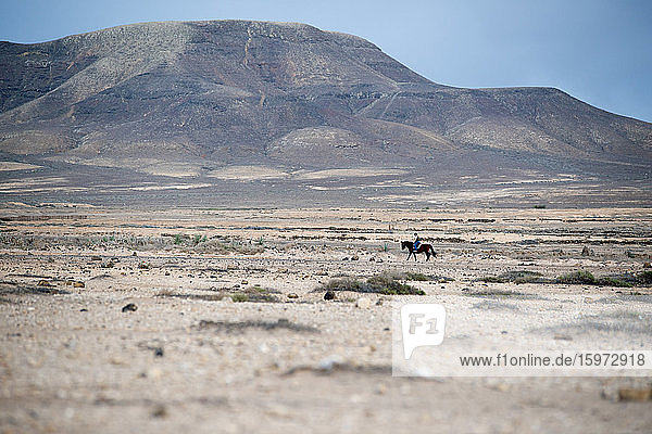 Horse Riding  El Cotillo Beach  Fuerteventura  Canary Islands  Spain  Atlantic  Europe