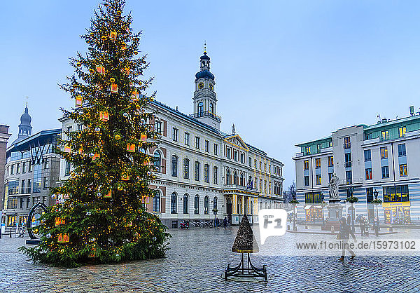 Weihnachtsbaum auf dem Rathausplatz  UNESCO-Weltkulturerbe  Riga  Lettland  Europa
