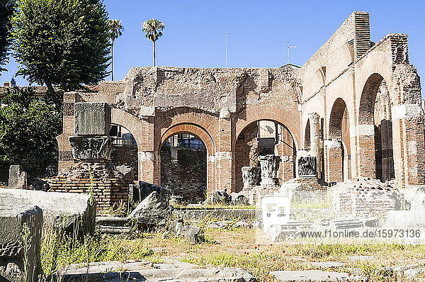 Basilika Julia  Römisches Forum  UNESCO-Weltkulturerbe  Rom  Latium  Italien  Europa