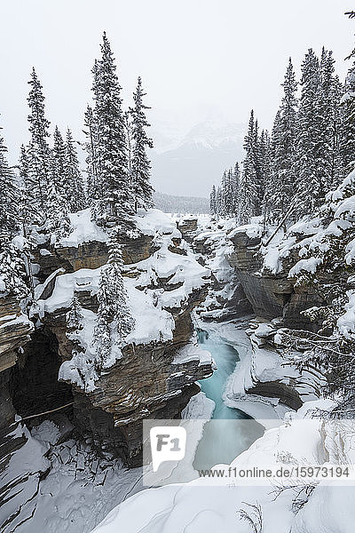 Teilweise gefrorene Athabasca-Wasserfälle im mittleren Winter  Banff-Nationalpark  UNESCO-Weltkulturerbe  Alberta  Kanada  Nordamerika