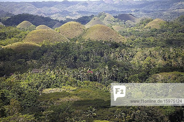 Chocolate Hills mit Wohnhaus  Bohol Island  Central Visayas  Philippinen  Asien
