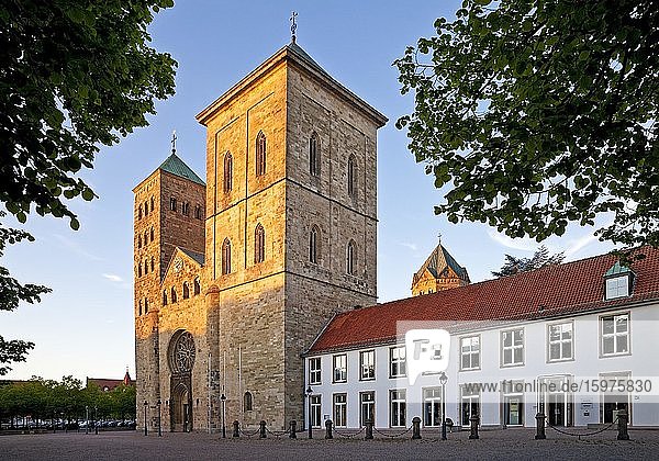 Dom St. Peter  Osnabrück  Niedersachsen  Deutschland  Europa