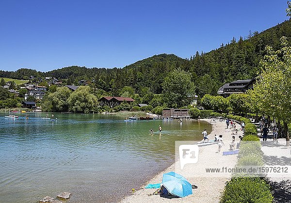 Bathing beach on the lake promenade  Fuschlsee  Fuschl am See  Salzkammergut  Province of Salzburg  Austria  Europe