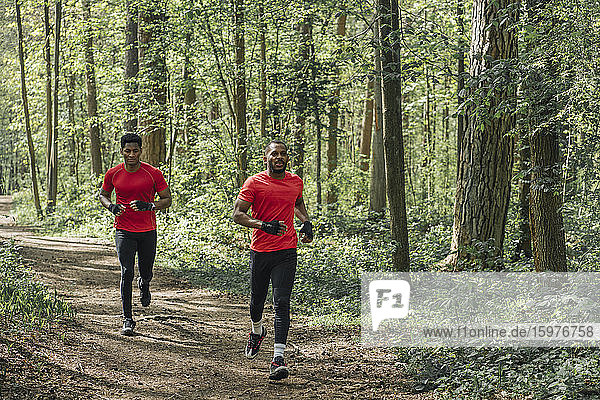 Sportsmen running on forest path