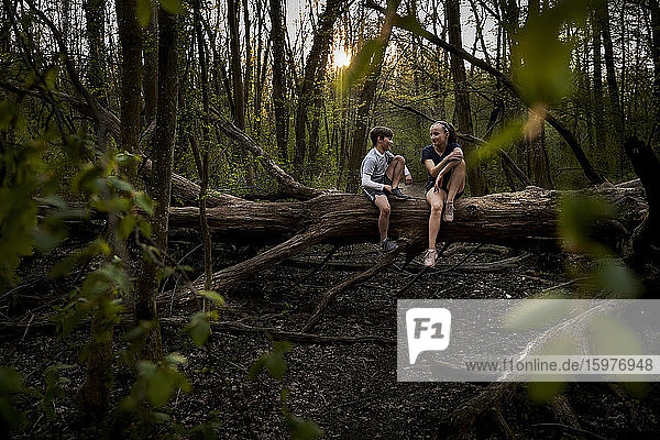 Lächelnde Geschwister in voller Länge im Gespräch auf einem umgestürzten Baum im Wald sitzend