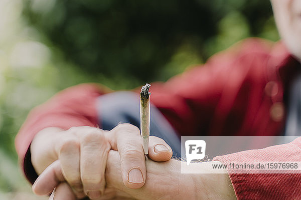 Close-up of senior man holding marijuana joint at orchard