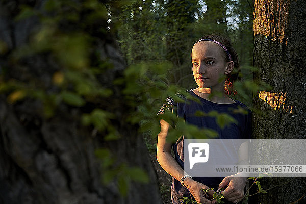 Girl standing by tree trunk while looking away in forest