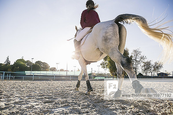 Rückansicht von Jockey Mädchen reitet weißes Pferd auf dem Trainingsgelände auf einer Ranch während eines sonnigen Tages