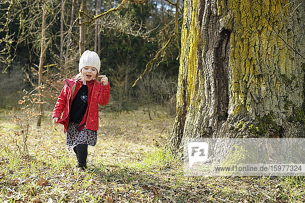Kleines Mädchen geht im Wald spazieren