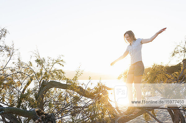 Frau balanciert bei Sonnenuntergang auf einem Baumstamm  Sardinien  Italien