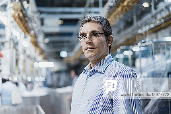 Portrait of a mature businessman in a factory
