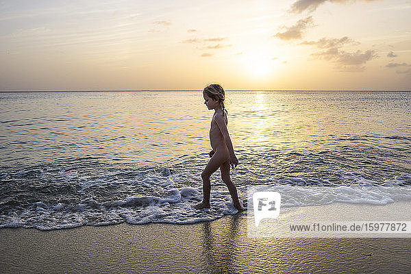 Naked little girl strolling on the beach at sunset  Willemstad  Curacao