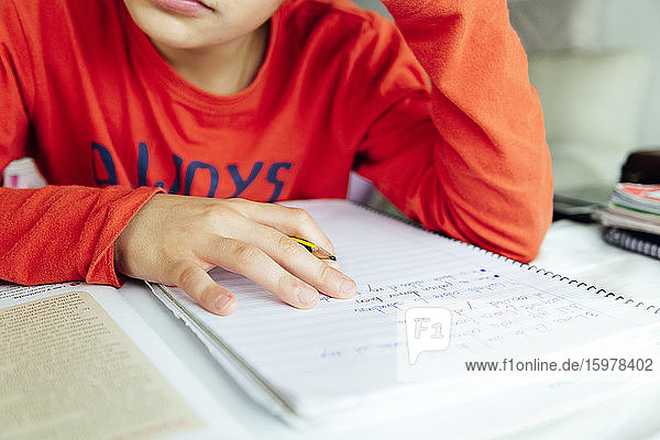 Boy studying from book while sitting at home
