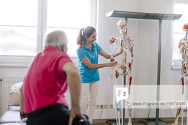Physiotherapeutin erklärt dem Patienten die Behandlung anhand eines Skeletts