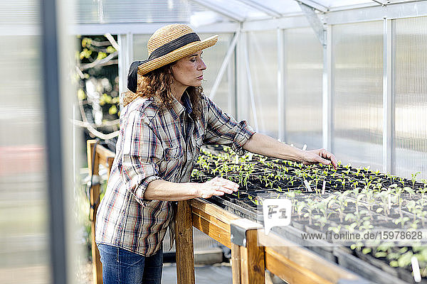 Confident female farmer working at greenhouse