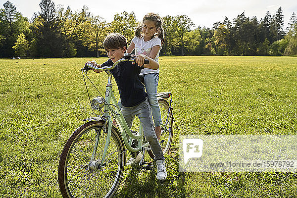 Siblings enjoying bicycle ride on grass during sunny day
