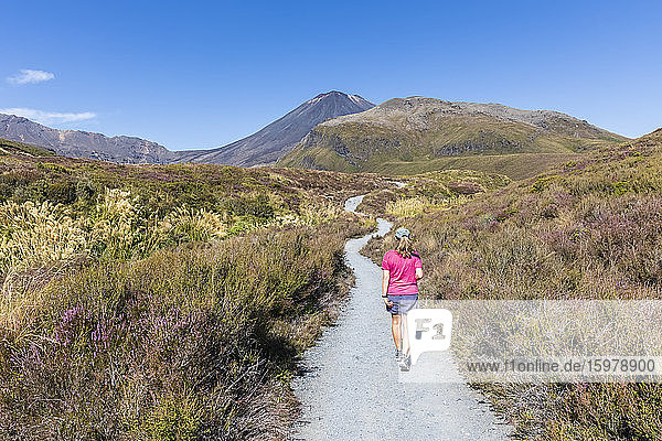 New Zealand  Ruapehu District  Female hiker walking along footpath toward Mount Ngauruhoe volcano