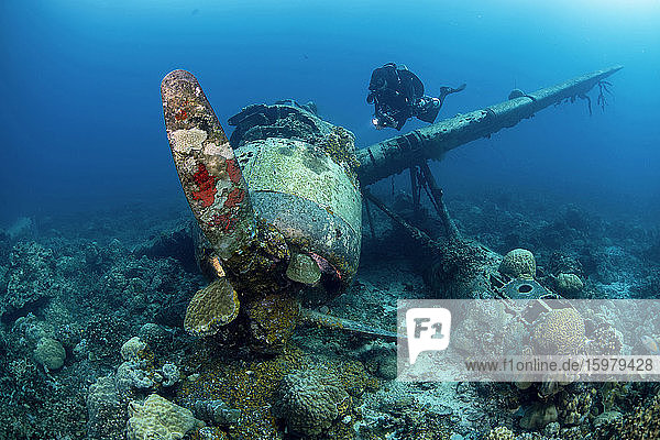 Palau  Diver exploring Japanese airplane wreck Jake sea plane underwater