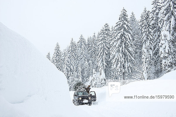 Austria  Salzburger Land  Lammertal  Man attaching Christmas tree to car roof on snowy road