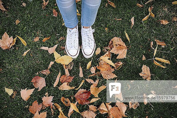 Low section of teenage girl standing by dried autumn leaves on grass at park