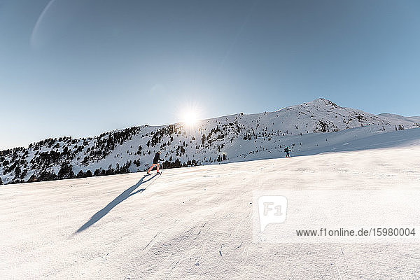 Österreich  Kärnten  Reichenau  Nockberge  Falkert  Mann beim Skitourengehen an einem sonnigen Tag