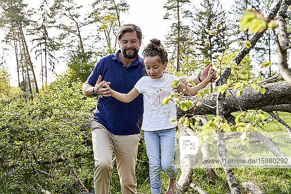 Lächelnder Mann hält die Hände seiner Tochter  die auf einem umgestürzten Baum im Wald spazieren geht