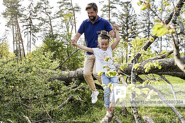 Man holding hands of daughter while jumping from fallen tree in forest