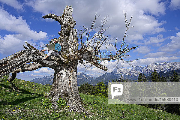 Mature woman sitting with laptop on dead tree against sky during sunny day