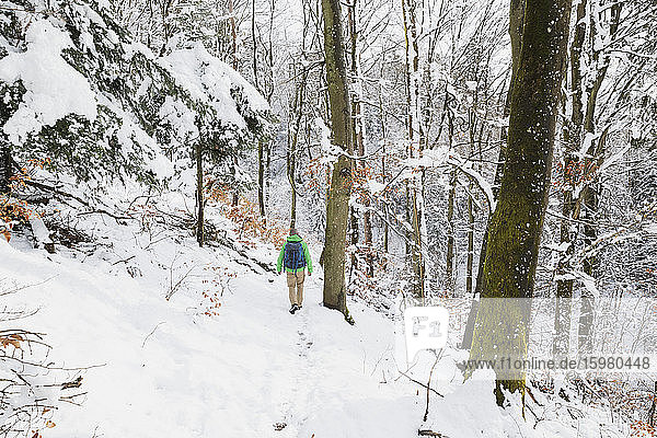 Deutschland  Nordrhein-Westfalen  Einsamer Rucksacktourist im verschneiten Wald im Hohen Venn - Naturpark Eifel