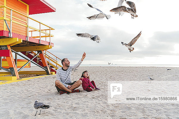Vater sitzt mit Tochter und füttert Möwen am Strand von Miami gegen den Himmel  Florida  USA