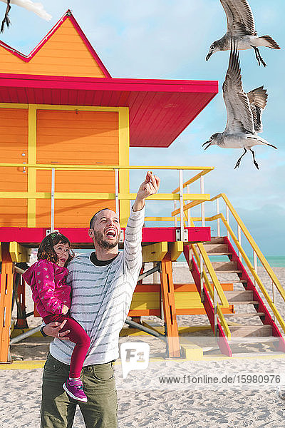 Happy father carrying daughter feeding seagulls while standing at Miami beach  Florida  USA